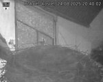 Capi_Dubne_20250824_204002.jpg