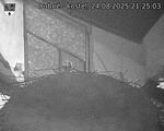 Capi_Dubne_20250824_212503.jpg