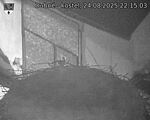 Capi_Dubne_20250824_221503.jpg