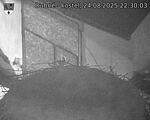Capi_Dubne_20250824_223003.jpg