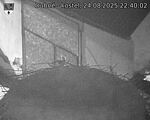Capi_Dubne_20250824_224003.jpg