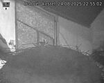 Capi_Dubne_20250824_225502.jpg