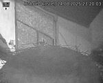 Capi_Dubne_20250824_232003.jpg