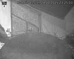 Capi_Dubne_20250824_232503.jpg