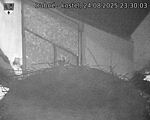Capi_Dubne_20250824_233003.jpg