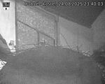 Capi_Dubne_20250824_234003.jpg