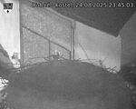 Capi_Dubne_20250824_234503.jpg