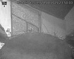 Capi_Dubne_20250824_235003.jpg