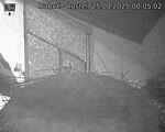 Capi_Dubne_20250825_000502.jpg