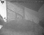 Capi_Dubne_20250825_002003.jpg