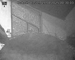 Capi_Dubne_20250825_003003.jpg