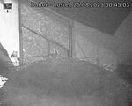 Capi_Dubne_20250825_004503.jpg