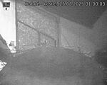 Capi_Dubne_20250825_010003.jpg