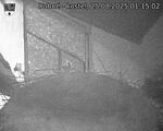 Capi_Dubne_20250825_011502.jpg