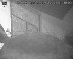 Capi_Dubne_20250825_013003.jpg