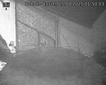 Capi_Dubne_20250825_015003.jpg