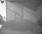 Capi_Dubne_20250825_020503.jpg