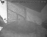 Capi_Dubne_20250825_022002.jpg
