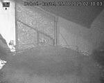 Capi_Dubne_20250825_023003.jpg