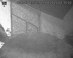 Capi_Dubne_20250825_023502.jpg