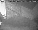 Capi_Dubne_20250825_030003.jpg