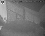 Capi_Dubne_20250825_030502.jpg