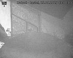 Capi_Dubne_20250825_031003.jpg