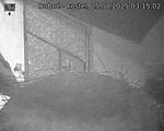 Capi_Dubne_20250825_031502.jpg