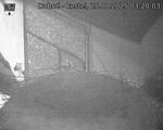 Capi_Dubne_20250825_032003.jpg