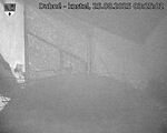 Capi_Dubne_20250825_032502.jpg