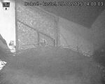 Capi_Dubne_20250825_040003.jpg