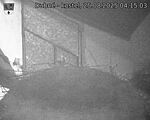Capi_Dubne_20250825_041503.jpg