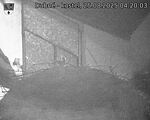 Capi_Dubne_20250825_042003.jpg