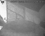 Capi_Dubne_20250825_043003.jpg