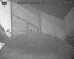 Capi_Dubne_20250825_050503.jpg