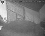 Capi_Dubne_20250825_051502.jpg