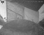 Capi_Dubne_20250825_053003.jpg