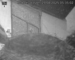 Capi_Dubne_20250825_053502.jpg
