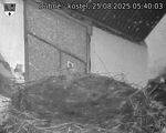 Capi_Dubne_20250825_054003.jpg