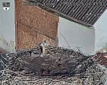 Capi_Dubne_20250825_074503.jpg