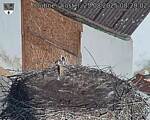 Capi_Dubne_20250825_082002.jpg