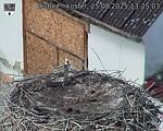 Capi_Dubne_20250825_132503.jpg