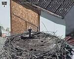 Capi_Dubne_20250825_140002.jpg