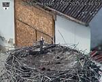 Capi_Dubne_20250825_144003.jpg