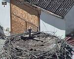Capi_Dubne_20250825_150503.jpg