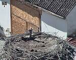 Capi_Dubne_20250825_151504.jpg