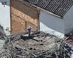 Capi_Dubne_20250825_153003.jpg