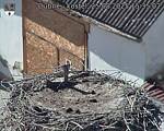 Capi_Dubne_20250825_153502.jpg