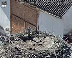 Capi_Dubne_20250825_161002.jpg