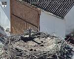 Capi_Dubne_20250825_161503.jpg